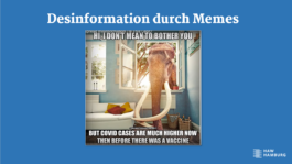 Fake News und Desinformation im Community Management: Herausforderungen und Handlungsempfehlungenfür das Social Media Management staatlicher Akteur*innen, 2022 