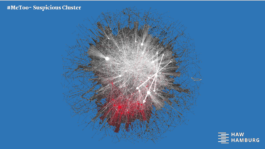 #Sexismusinparteien and #MeToo: How Twitter trolls try to misuse feminist discussions to promote anti-Muslim messages, 2019 